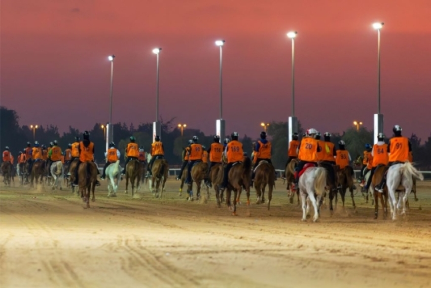 DUBAI CROWN PRINCE ENDURANCE FESTIVAL AT DIEC FROM JANUARY 2-6