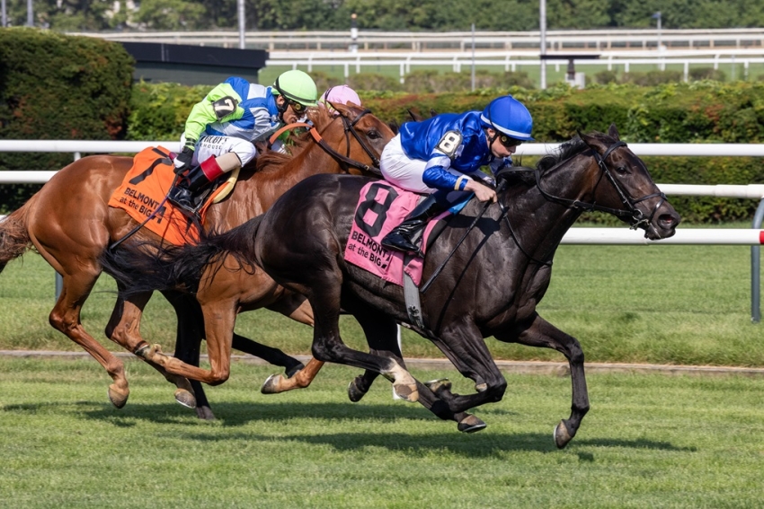 Cinderella’s Dream back on winning track in Belmont Oaks