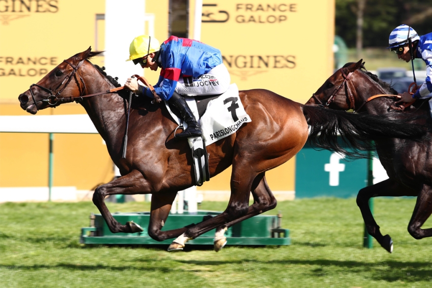 Sauterne crushes a Big Rock to claim Moulin de Longchamp prize