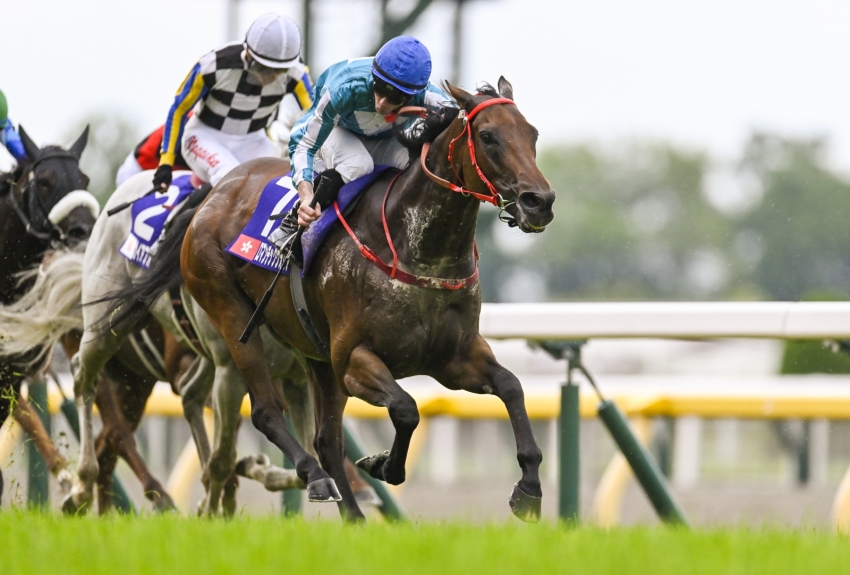Warrior’s Romantic conquests now include Yasuda Kinen, books Breeders’ Cup ticket