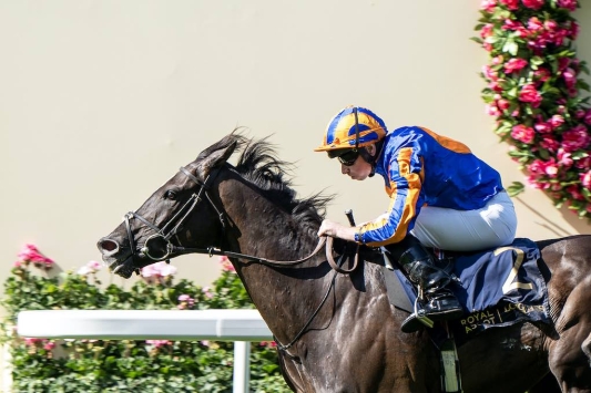 New highs for Ballydoyle as Auguste Rodin King in Prince of Wales Stakes