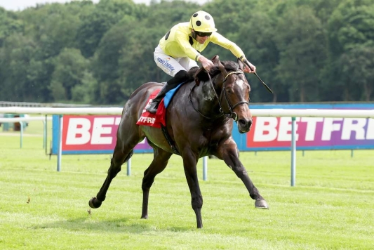 Sprinting duo bid to give Sheikh Mohammed Obaid further Ascot success